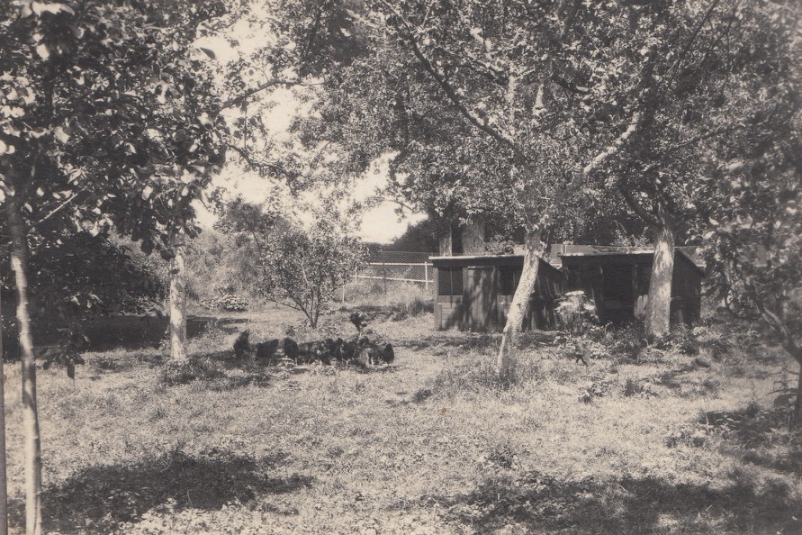 Broomhill Nr Tiverton Devon 1924 - 1935.