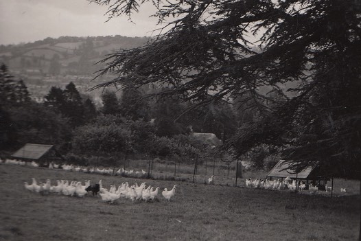 Broomhill Nr Tiverton Devon 1924 - 1935.